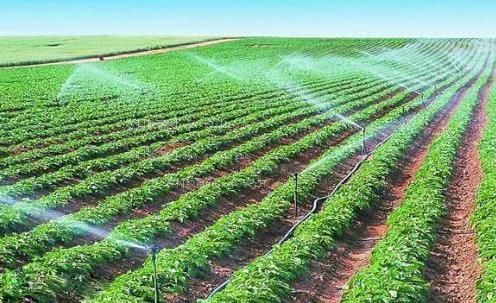 干逼视频农田高 效节水灌溉